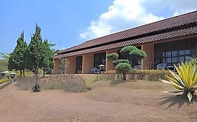 Amanda Hills
